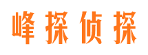 渠县市婚姻调查